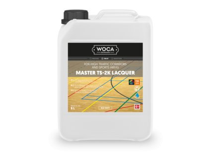 master ts 2k lacquer silk matt 5L 690236A 300x300