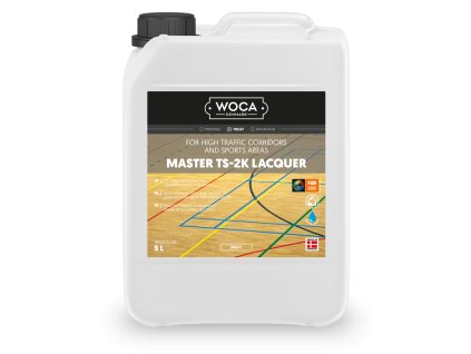 master ts 2k lacquer matt 5L 690235A