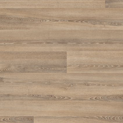 9831 Roasted Limed Ash