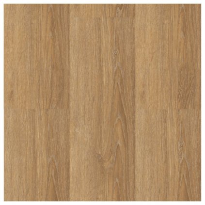 Plovoucí vinylová podlaha na HDF desce s korkem Ecoline Click 9555 Dub bush