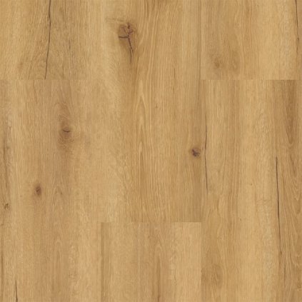 9594 Aquafix Dub Vidiecky