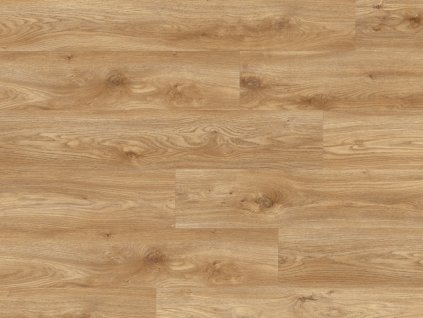 vinylova podlaha moduleo roots 55 sierra oak 58346 podlahy binder