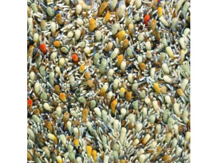 Moderní vlněný kusový koberec B&C Spring calendula  59103 Brink & Campman (Varianta 140x200)