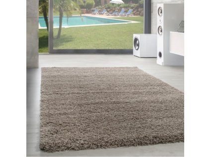 Kusový koberec Dream Shaggy 4000 beige (Varianta 120x170 cm)