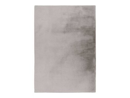 Kusový koberec Spirit 500 silver (Varianta 120x170 cm)