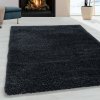 Kusový koberec Fluffy shaggy 3500 antraciet (Varianta 120x170 cm)