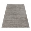Kusový koberec Fluffy shaggy 3500 beige (Varianta 120x170 cm)