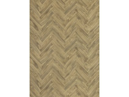 6d91e74a6072c4b657dc4e20