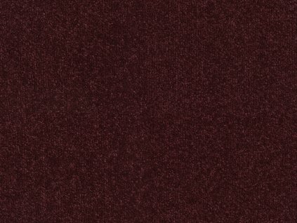 Scala Twist 100