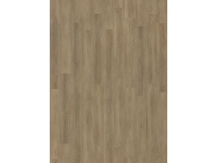 3175e469cd8798a629e5e3f1