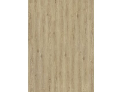 5dadf5f1a746969bfb444cb3