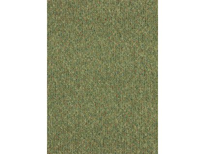 cc07701b91eadca7d708cecd