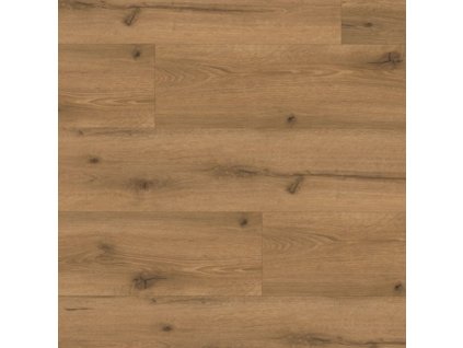 99932 ALPINE OAK LEPENA 055
