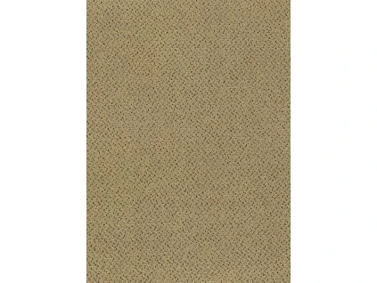 141c0481cd951a2a433917c3