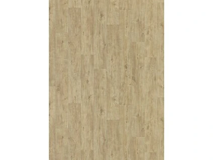 66f5950e2937f9aa6555e1e0