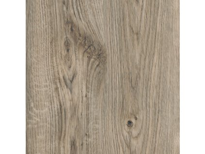 Sun Bleached Oak SF3W2531