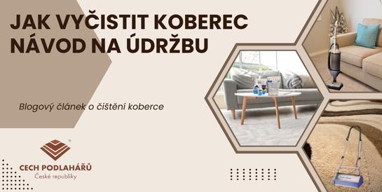 Jak vyčistit koberec – návod na údržbu.