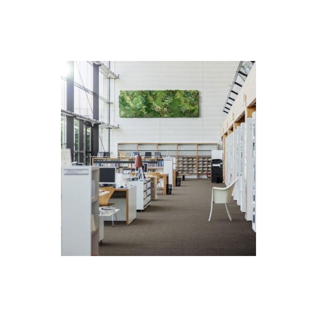 Koberec metráž MERIT NEW / AB 6752 (Šířka 4 m)