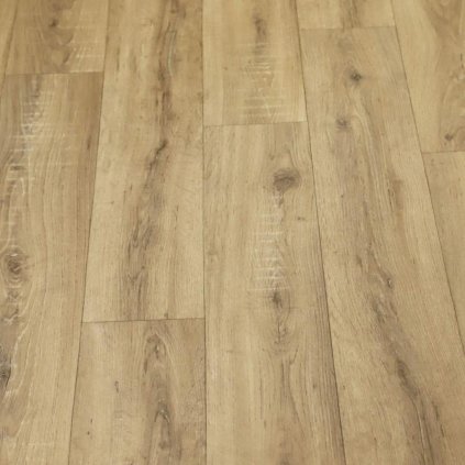 TEXTRA SORBONE 534 1