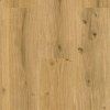 Vinylová podlaha DP 9592 Dub královský přírodní EIR  detail