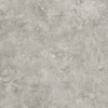 FORTEX GREY 2091