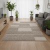 SAVANA PLUS 31 OVO INT