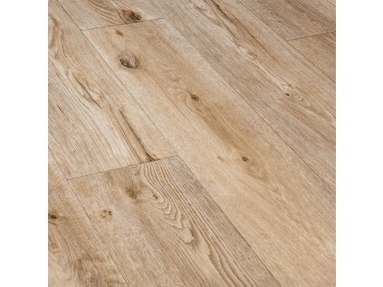 a826eb484ea621689123b8a8261332cf