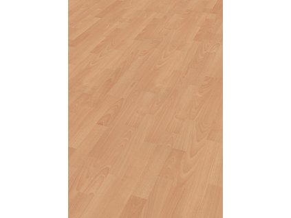 LC 55  Buk 06201