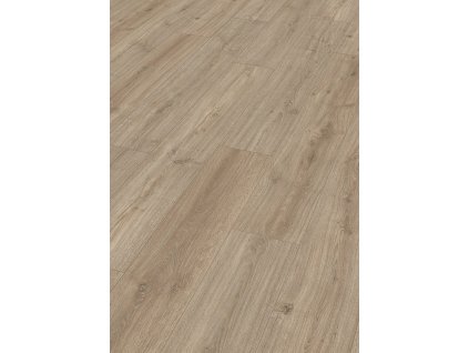 LD 150 DUB ARCADIA 06412