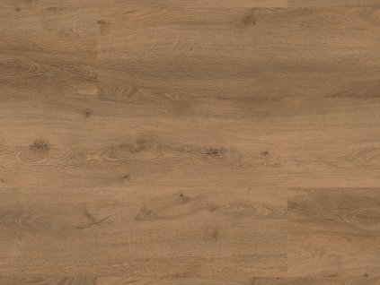 1040 Dub Císařský dekor