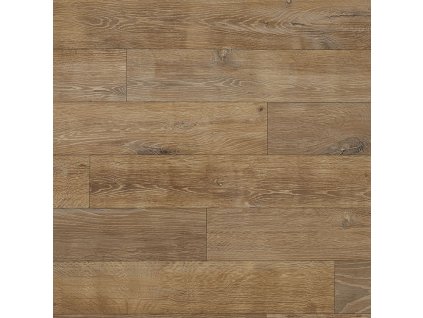 Novoflor Extra Amos 2017-84