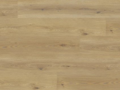8196L 001E55