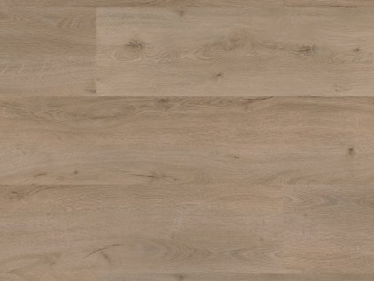 1030 Dub Rytířský dekor