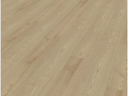 99937 Scotch Ash (2)