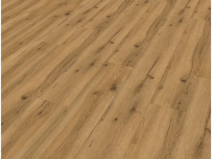 99932 Alpine Oak (2)