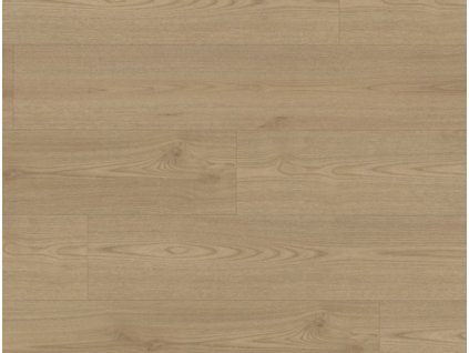 Grandissimo Click Rigid 0,55 Scotch ash 99937