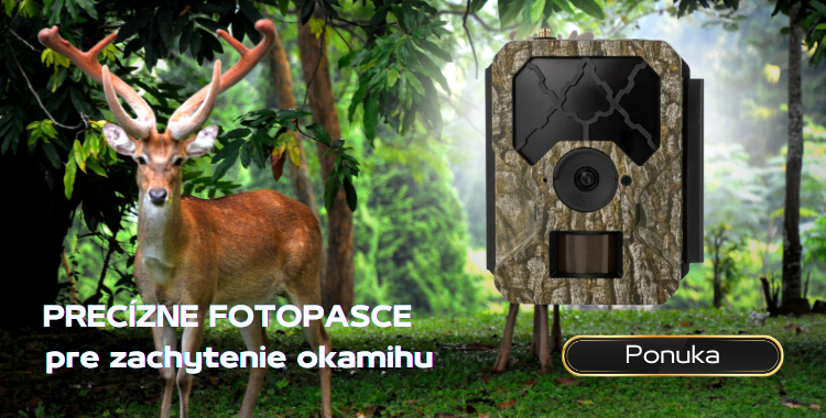 Fotopasce