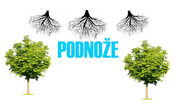 logo-podnoze