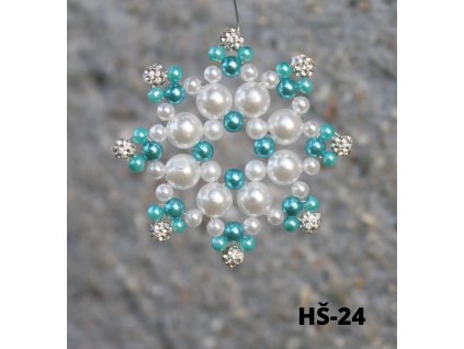 HS 24