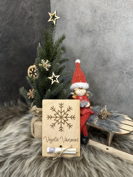 Cedulka na peníze - vločka