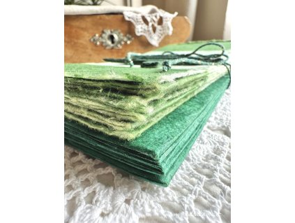 pranicka podrukama103