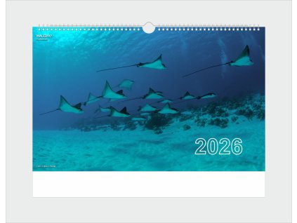 Limitovaný nástěnný kalendář 2026