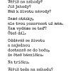 nahodne triko eshop nahled