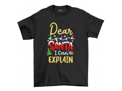 dear santa