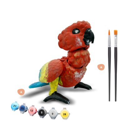 Papoušek kreativni sad