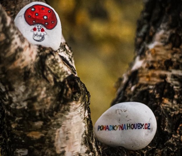 Kamínková výzva vol.1