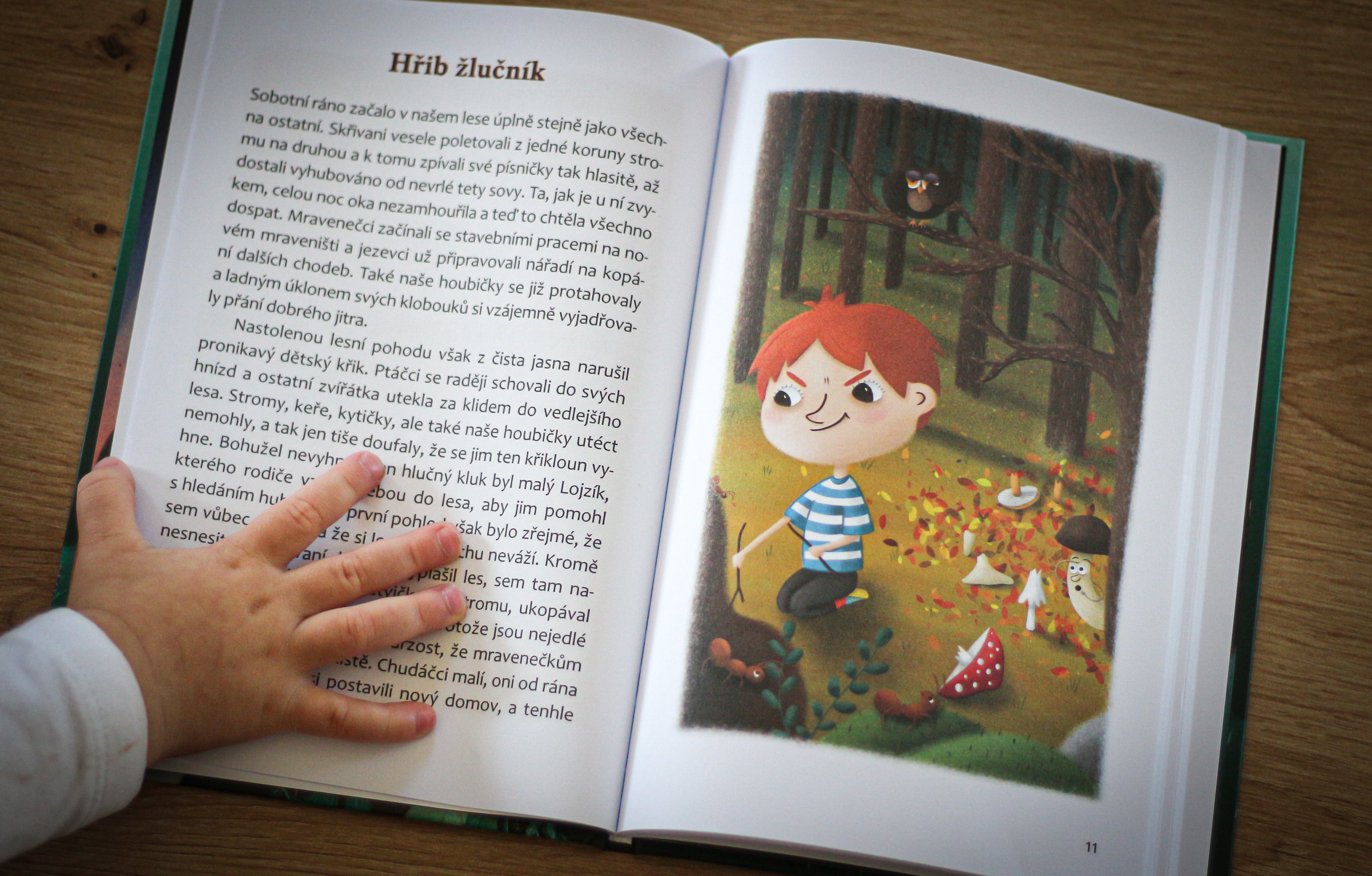 Ukázka naší knihy