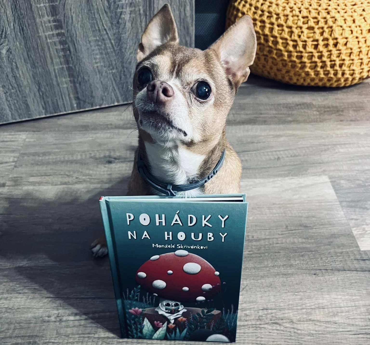 Vaše fotografie nám dělají radost