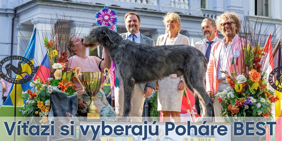 Trofeje, športové poháre a medaily pre každé podujatie | Poharebest.sk