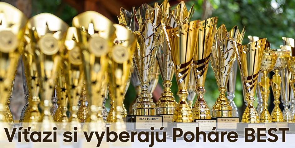 Trofeje, športové poháre a medaily pre každé podujatie | Poharebest.sk